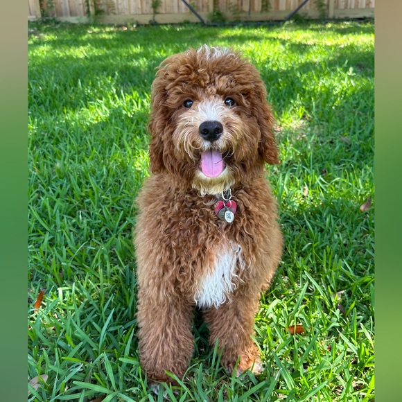 Meet your Posher, Mary - Picture 3 of 16